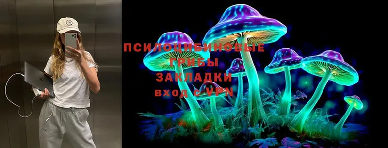 Псилоцибиновые грибы Psilocybine cubensis Бакал